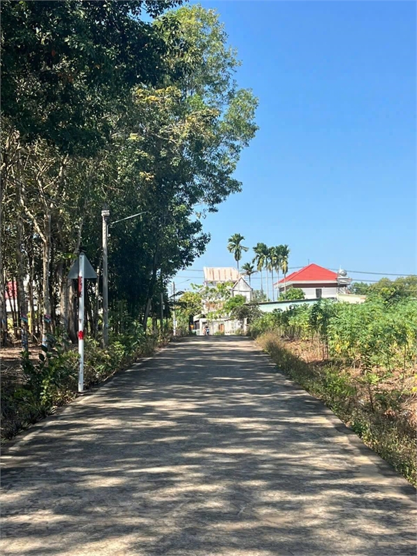 ĐẤT KHU CÔNG NGIỆP MINH HƯNG SIKICO . CƠ HỘI CHO CÁC NHÀ ĐẦU TƯ DỰNG XƯỞNG CHO THUÊ HOẶC DẪY TRỌ - Ảnh 2